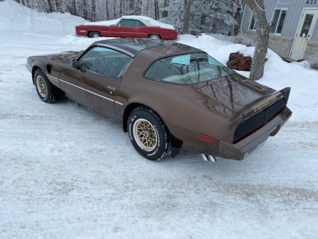 Pontiac Trans Am 1979 image number 15