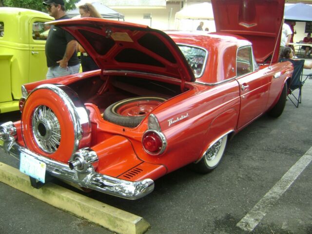 Ford Thunderbird 1955 image number 16