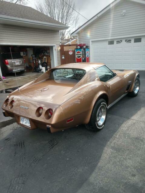 Chevrolet Corvette 1976 image number 12