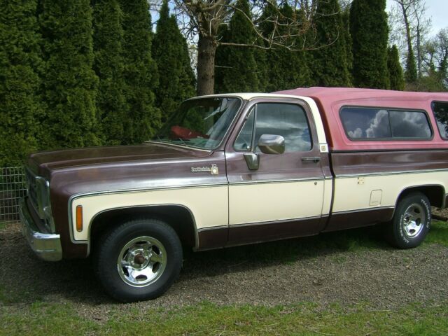 Chevrolet C-10 1979 image number 0