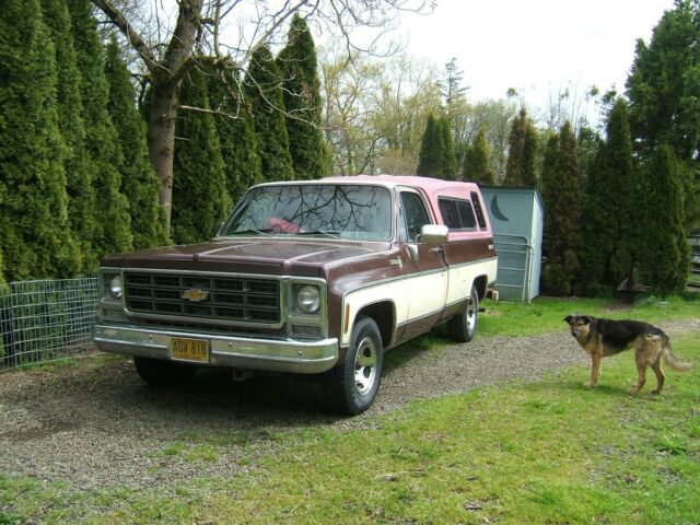 Chevrolet C-10 1979 image number 16