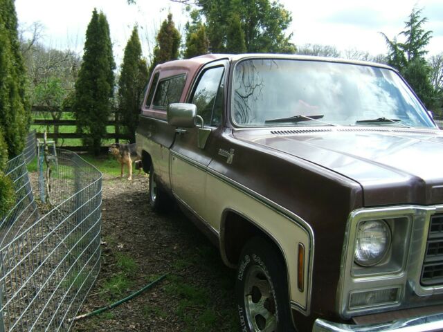 Chevrolet C-10 1979 image number 2