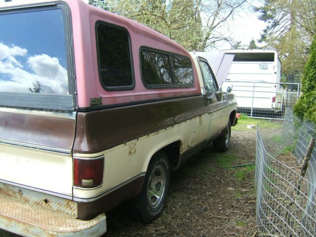 Chevrolet C-10 1979 image number 28