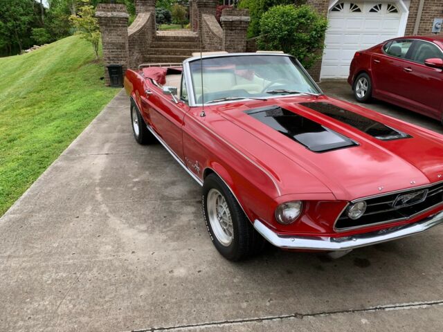 Ford Mustang 1967 image number 18