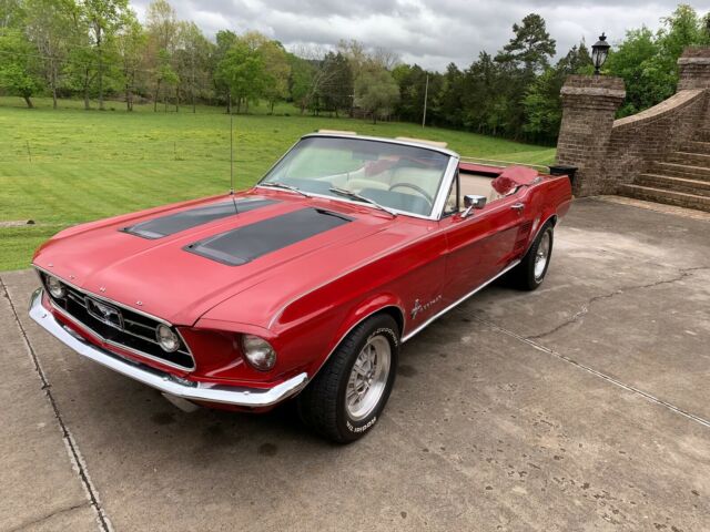 Ford Mustang 1967 image number 19