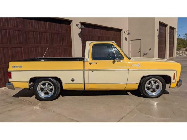 Chevrolet C-10 1977 image number 27