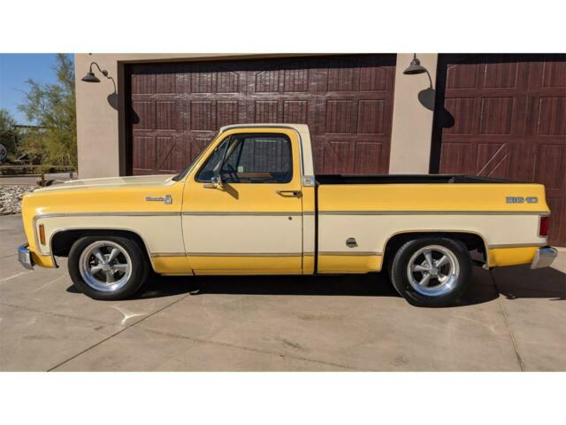 Chevrolet C-10 1977 image number 31