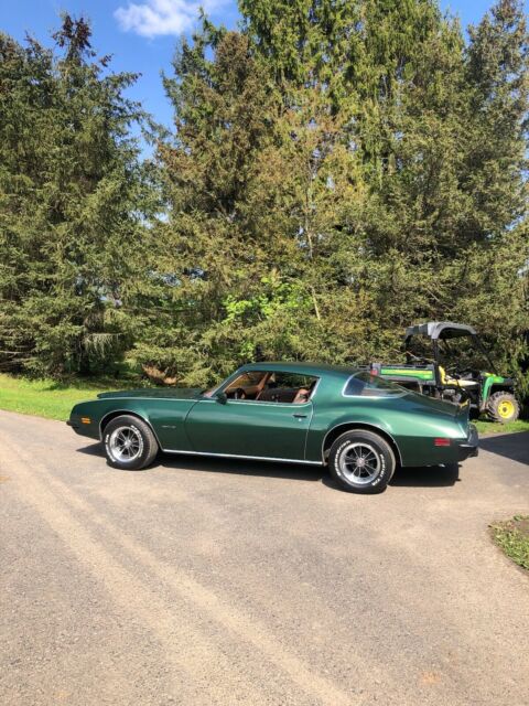 Pontiac Firebird 1975 image number 1