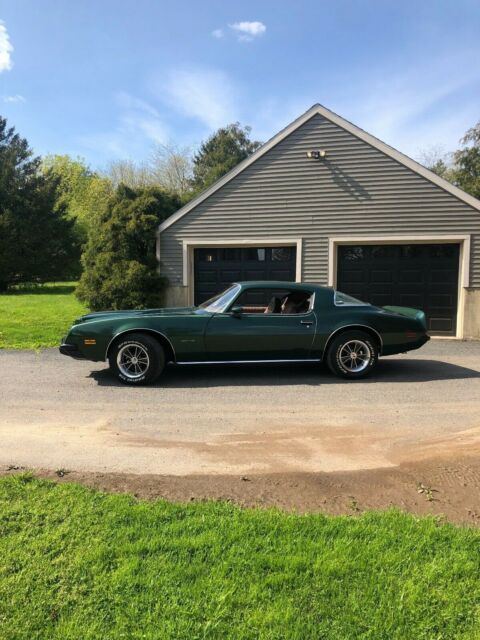 Pontiac Firebird 1975 image number 17