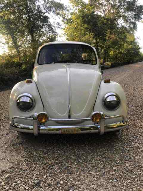 Volkswagen Beetle (Pre-1980) 1970 image number 10