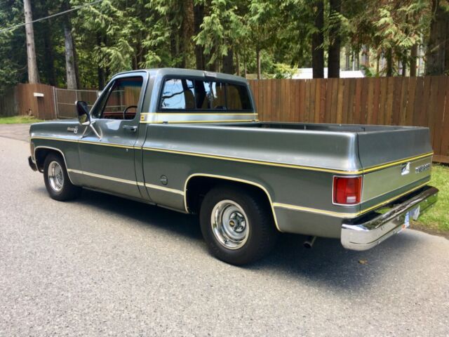 Chevrolet C-10 1977 image number 12