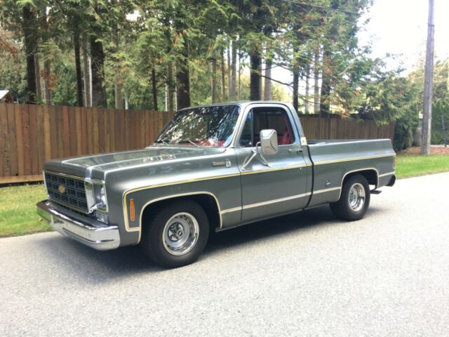 Chevrolet C-10 1977 image number 13