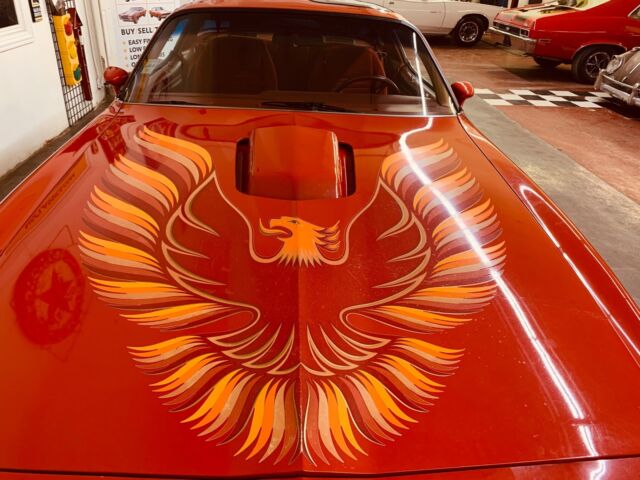 Pontiac Trans Am 1979 image number 15