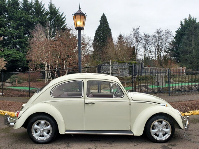 Volkswagen Beetle - Classic 1966 image number 15