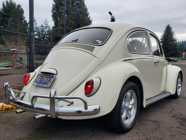 Volkswagen Beetle - Classic 1966 image number 18