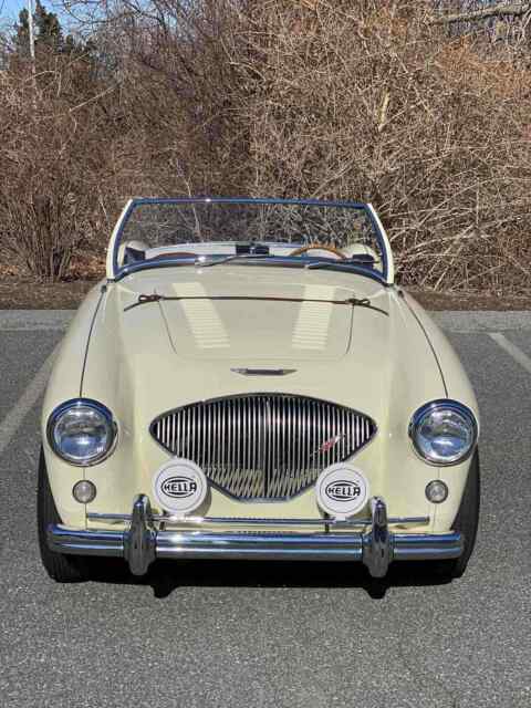 Austin-Healey 100M 1956 image number 0