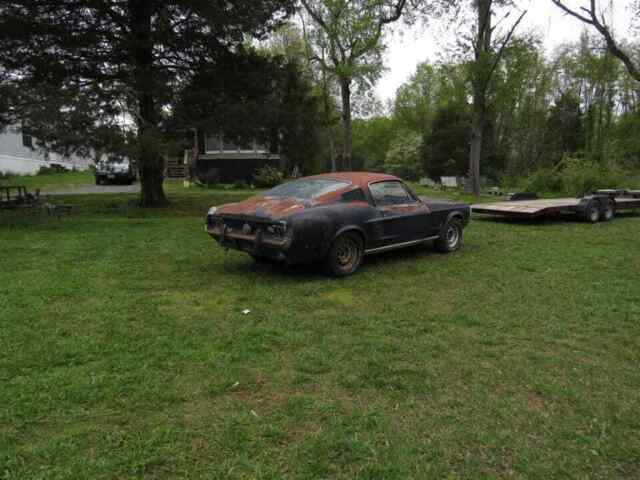 Ford Mustang 1967 image number 5