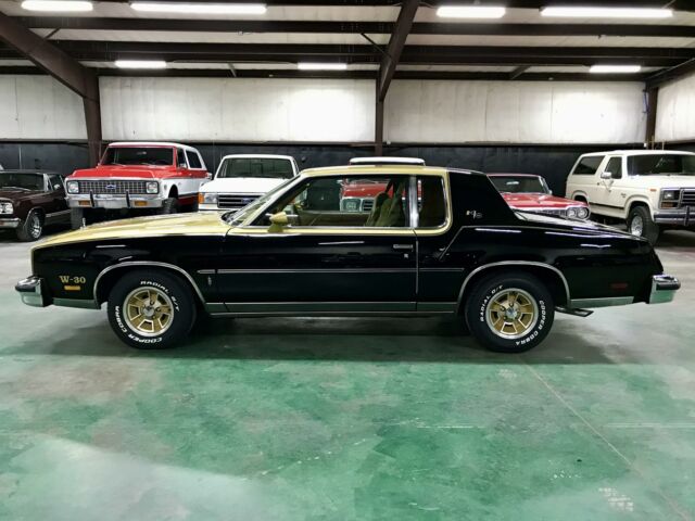 Oldsmobile Cutlass 1979 image number 1