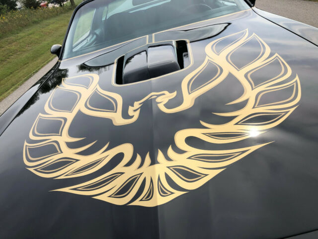 Pontiac Trans Am 1977 image number 3