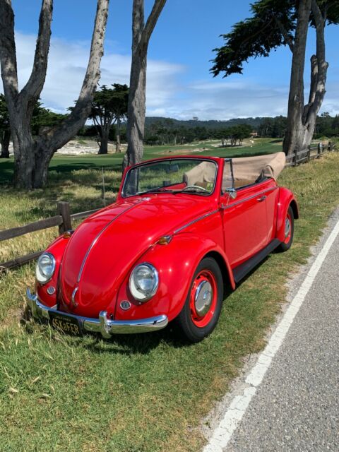 Volkswagen Beetle - Classic 1965 image number 10