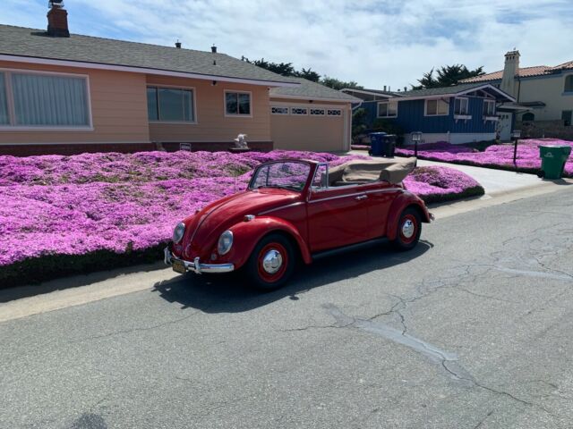 Volkswagen Beetle - Classic 1965 image number 16