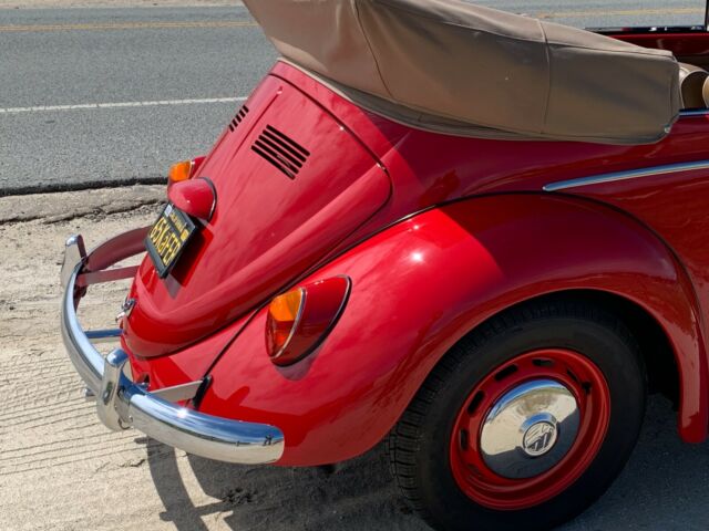 Volkswagen Beetle - Classic 1965 image number 5