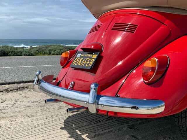 Volkswagen Beetle - Classic 1965 image number 7