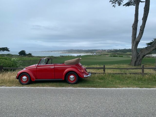 Volkswagen Beetle - Classic 1965 image number 36