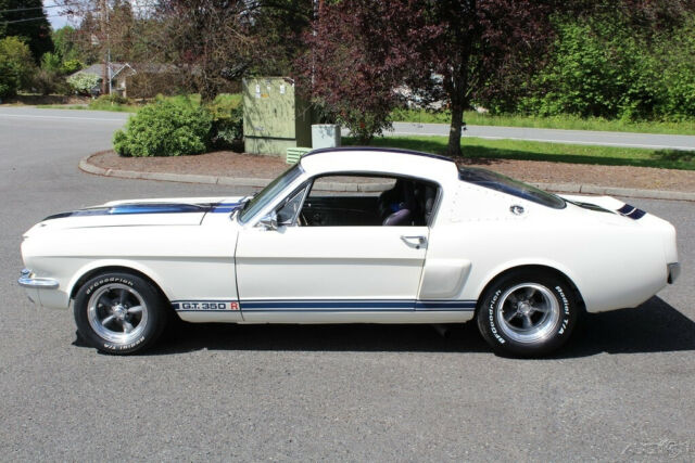 Ford Mustang 1965 image number 16