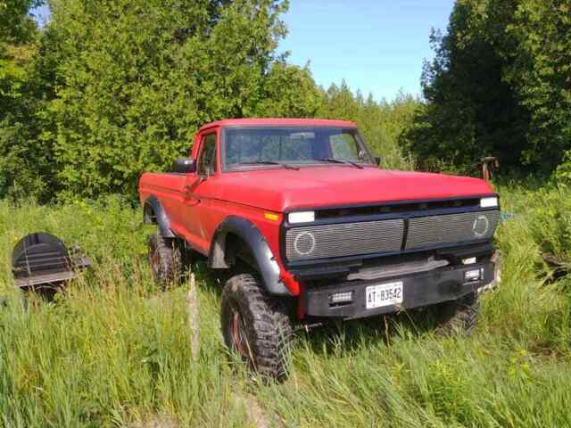 Ford F-250 1978 image number 9