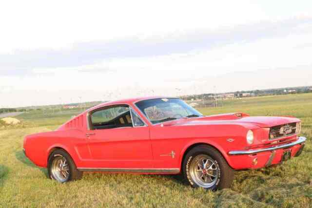 Ford Mustang 1965 image number 3