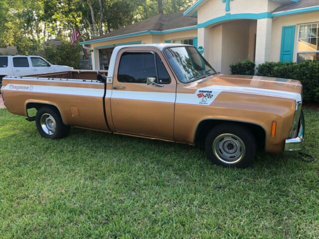 Chevrolet C-10 1979 image number 34