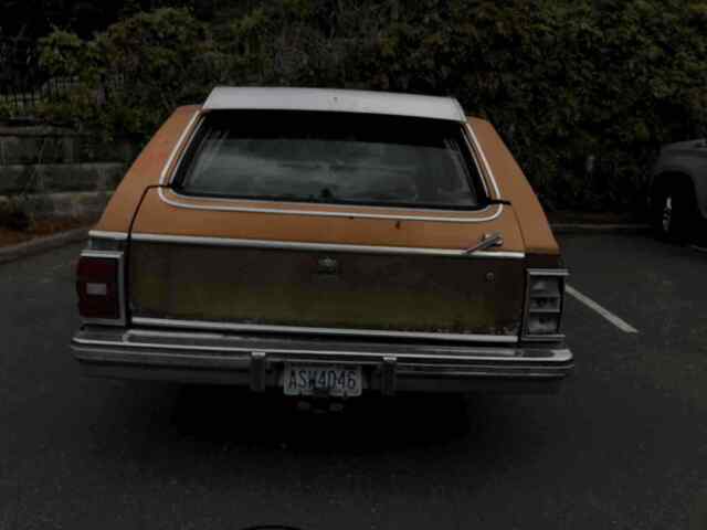 Chevrolet Caprice Wagon 1978 image number 11