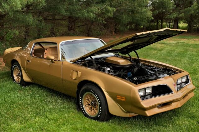 Pontiac Trans Am 1978 image number 0