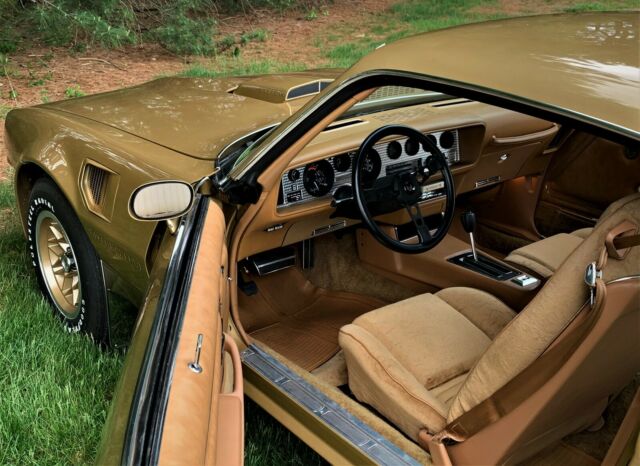 Pontiac Trans Am 1978 image number 3