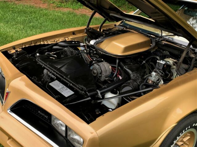 Pontiac Trans Am 1978 image number 37