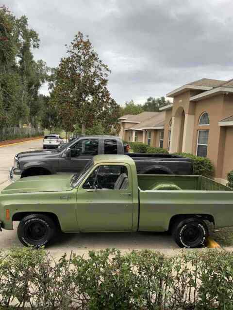 Chevrolet C10/K10 1974 image number 10