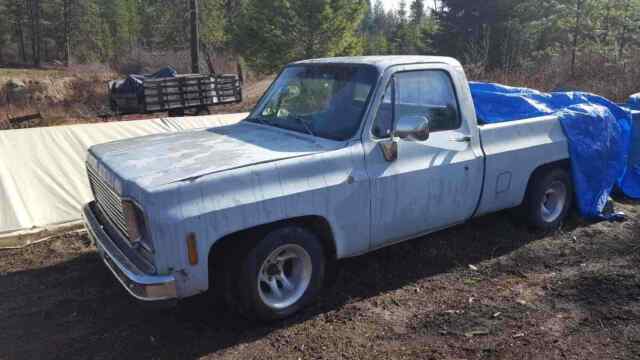 Chevrolet C10/K10 1975 image number 0