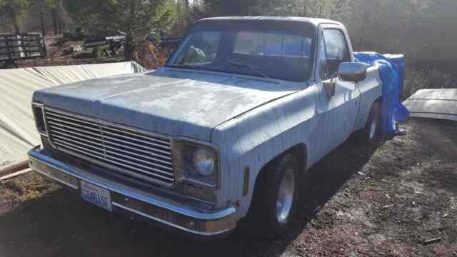 Chevrolet C10/K10 1975 image number 1