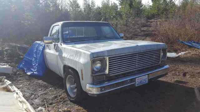 Chevrolet C10/K10 1975 image number 12