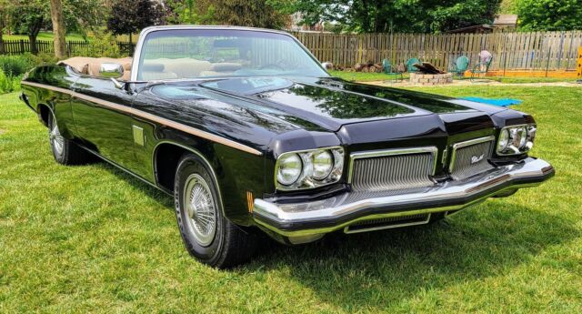 Oldsmobile Delta 88 1973 image number 14