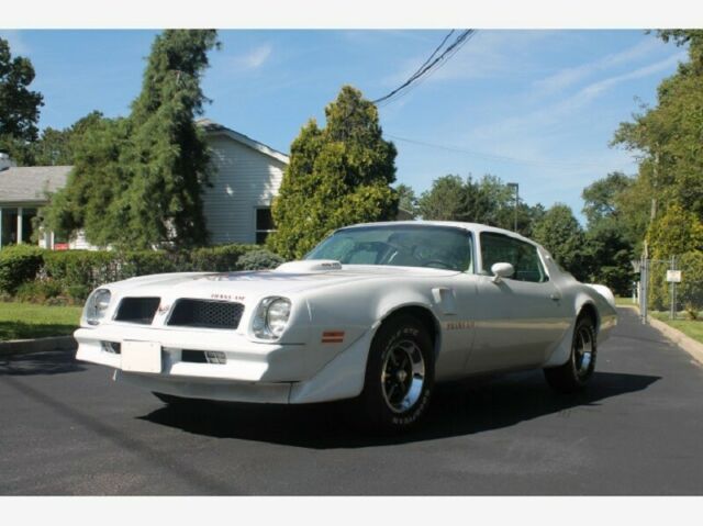 Pontiac Trans Am 1976 image number 1