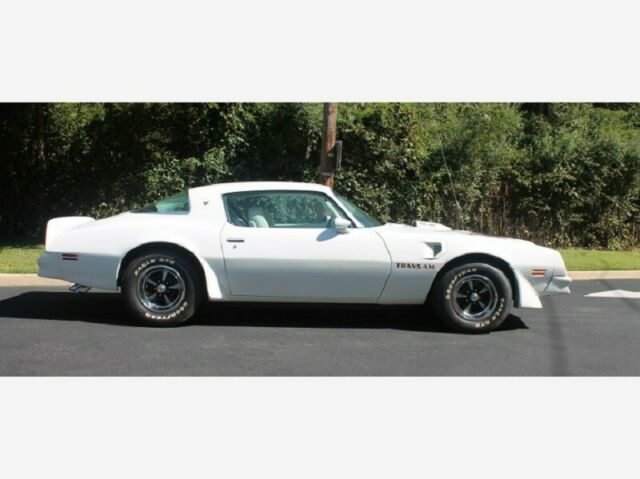 Pontiac Trans Am 1976 image number 15