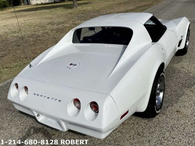 Chevrolet Corvette 1974 image number 13