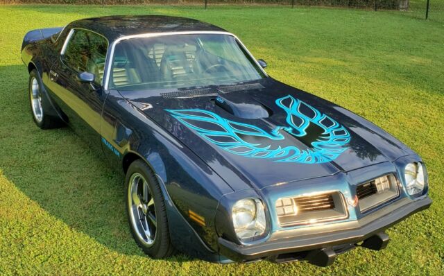 Pontiac Trans Am 1975 image number 0