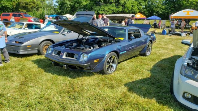 Pontiac Trans Am 1975 image number 11