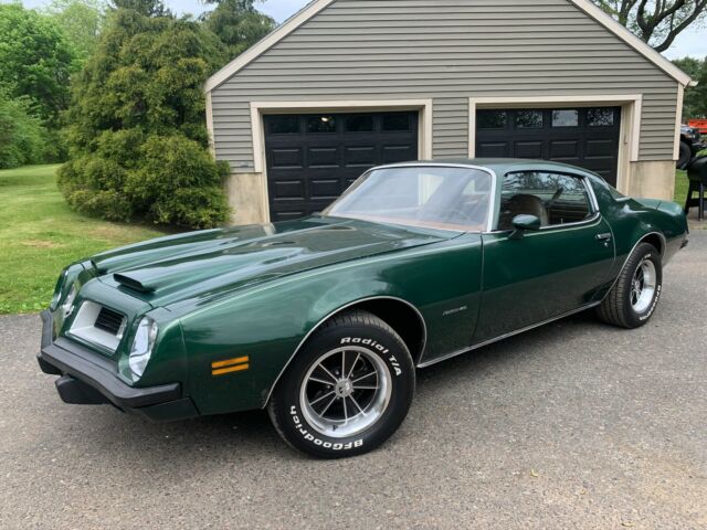 Pontiac Firebird 1975 image number 1