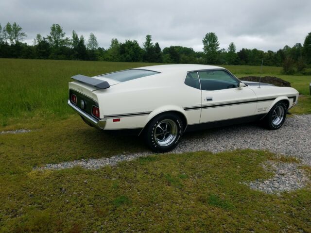 Ford Mustang 1971 image number 1