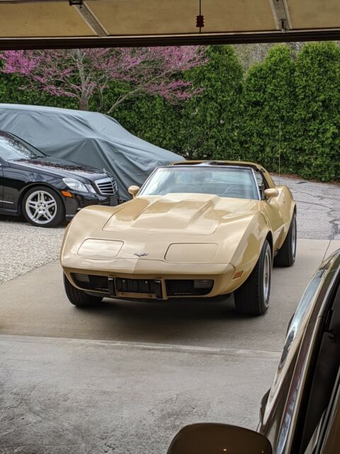 Chevrolet Corvette 1977 image number 0