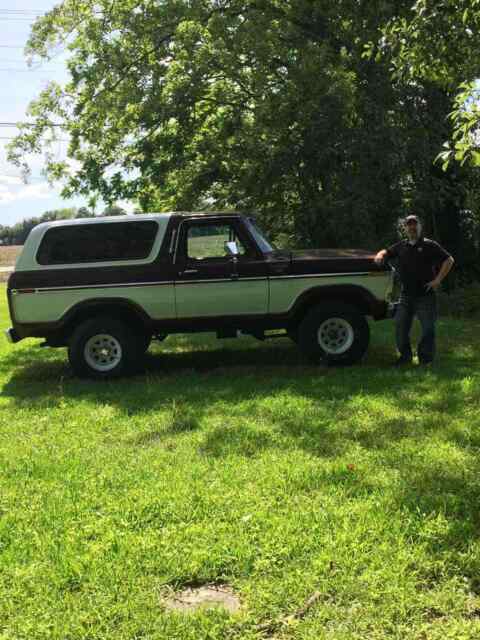 Ford Bronco 1979 image number 17